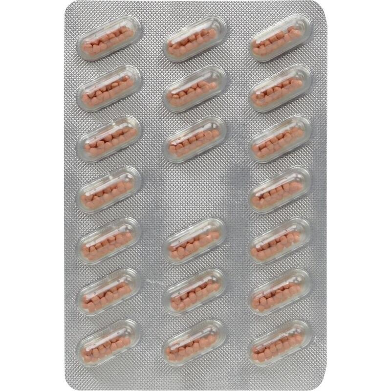 KELTICAN forte Kapseln