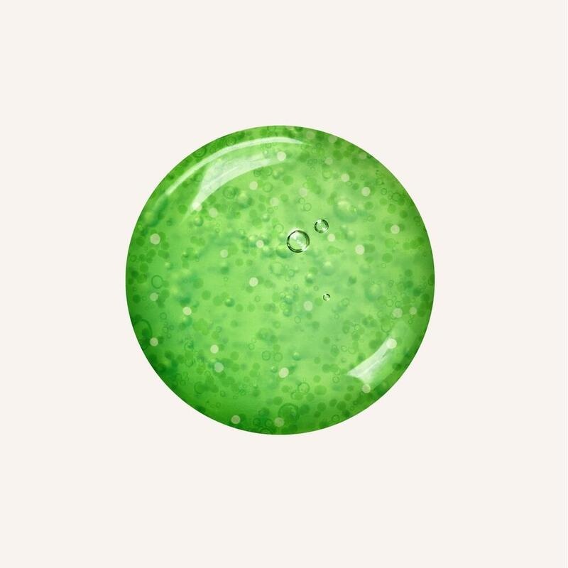 RAUSCH Anti-Pollution-Peeling-Shamp.m.Schweiz.Apf.